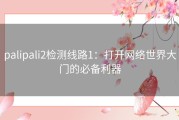 palipali2检测线路1：打开网络世界大门的必备利器