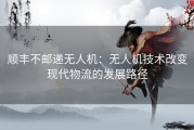 顺丰不邮递无人机：无人机技术改变现代物流的发展路径