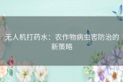 无人机打药水：农作物病虫害防治的新策略