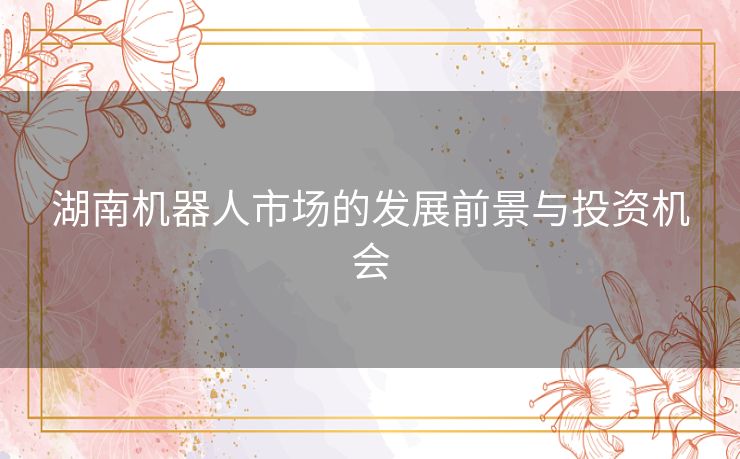 湖南机器人市场的发展前景与投资机会 湖南机器人市场的发展前景与投资机会