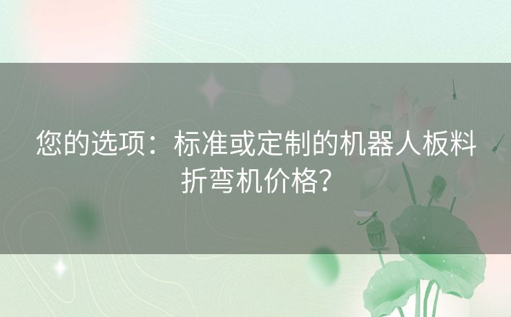 您的选项:标准或定制的机器人板料折弯机价格? 您的选项:标准或定制的机器人板料折弯机价格?