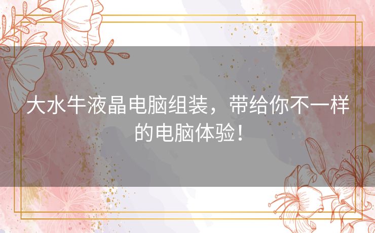 大水牛液晶电脑组装,带给你不一样的电脑体验! 大水牛液晶电脑组装,带给你不一样的电脑体验!