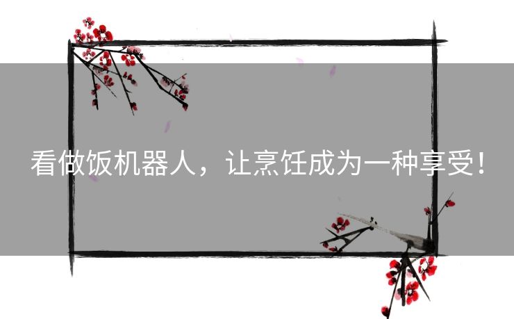 看做饭机器人,让烹饪成为一种享受! 看做饭机器人,让烹饪成为一种享受!