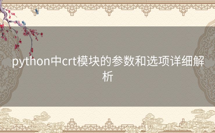 python中crt模块的参数和选项详细解析