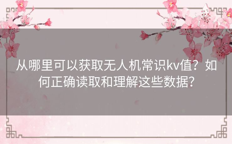 从哪里可以获取无人机常识kv值?如何正确读取和理解这些数据? 从哪里可以获取无人机常识kv值?如何正确读取和理解这些数据?