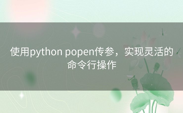 使用python popen传参,实现灵活的命令行操作 使用python popen传参,实现灵活的命令行操作