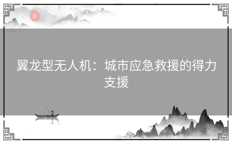 翼龙型无人机:城市应急救援的得力支援 翼龙型无人机:城市应急救援的得力支援