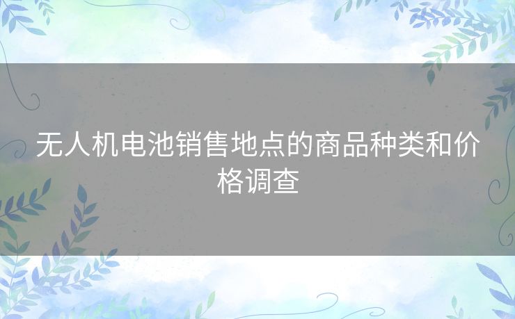 无人机电池销售地点的商品种类和价格调查 无人机电池销售地点的商品种类和价格调查