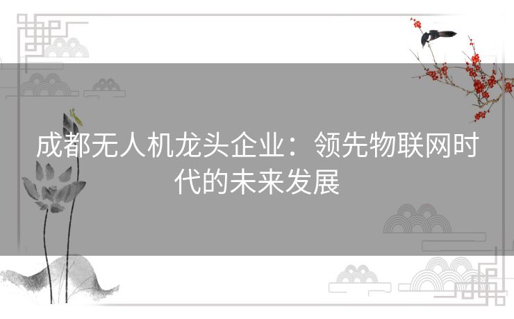 成都无人机龙头企业:领先物联网时代的未来发展 成都无人机龙头企业:领先物联网时代的未来发展