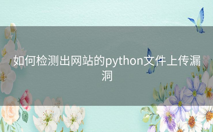 如何检测出网站的python文件上传漏洞 如何检测出网站的python文件上传漏洞