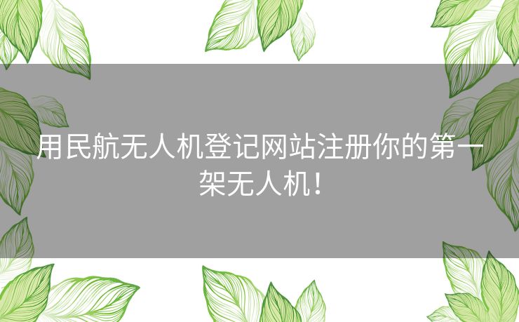 用民航无人机登记网站注册你的第一架无人机! 用民航无人机登记网站注册你的第一架无人机!