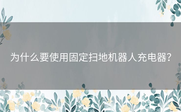 为什么要使用固定扫地机器人充电器? 为什么要使用固定扫地机器人充电器?