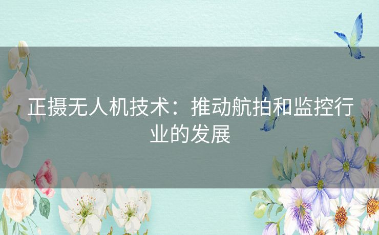 正摄无人机技术:推动航拍和监控行业的发展 正摄无人机技术:推动航拍和监控行业的发展