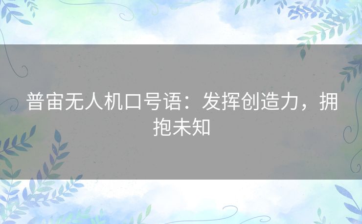 普宙无人机口号语:发挥创造力,拥抱未知 普宙无人机口号语:发挥创造力,拥抱未知