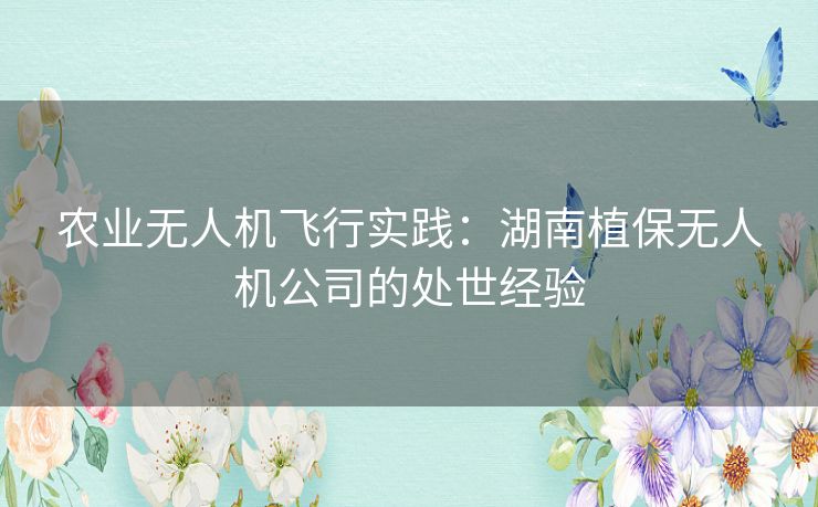 农业无人机飞行实践:湖南植保无人机公司的处世经验 农业无人机飞行实践:湖南植保无人机公司的处世经验
