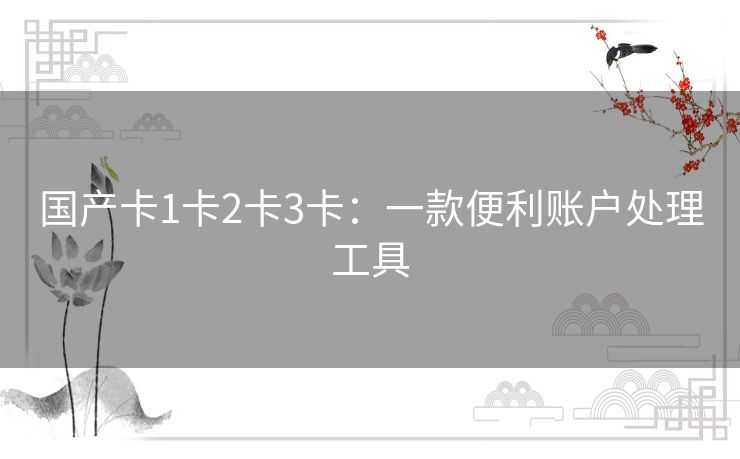 国产卡1卡2卡3卡:一款便利账户处理工具 国产卡1卡2卡3卡:一款便利账户处理工具