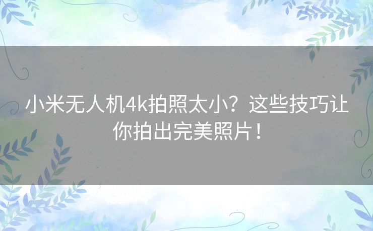 小米无人机4k拍照太小?这些技巧让你拍出完美照片! 小米无人机4k拍照太小?这些技巧让你拍出完美照片!