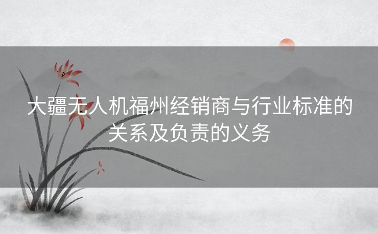 大疆无人机福州经销商与行业标准的关系及负责的义务 大疆无人机福州经销商与行业标准的关系及负责的义务