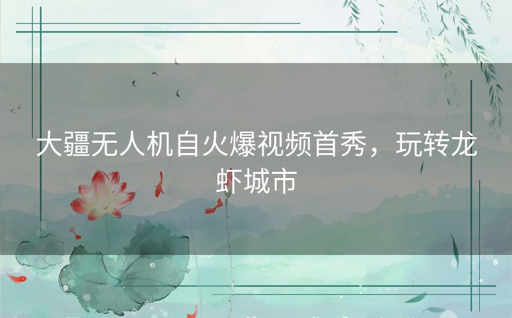 大疆无人机自火爆视频首秀,玩转龙虾城市 大疆无人机自火爆视频首秀,玩转龙虾城市