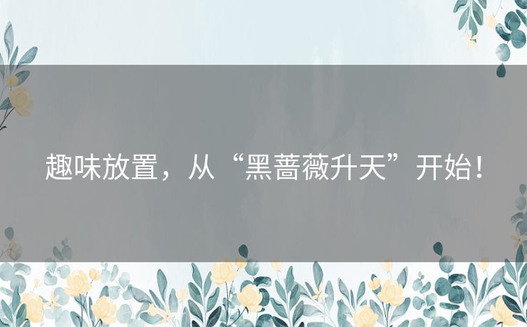 趣味放置,从“黑蔷薇升天”开始! 趣味放置,从“黑蔷薇升天”开始!