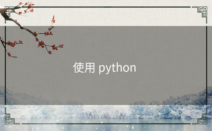 使用 python 使用 python