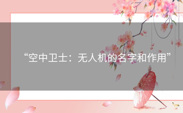 “空中卫士:无人机的名字和作用” “空中卫士:无人机的名字和作用”