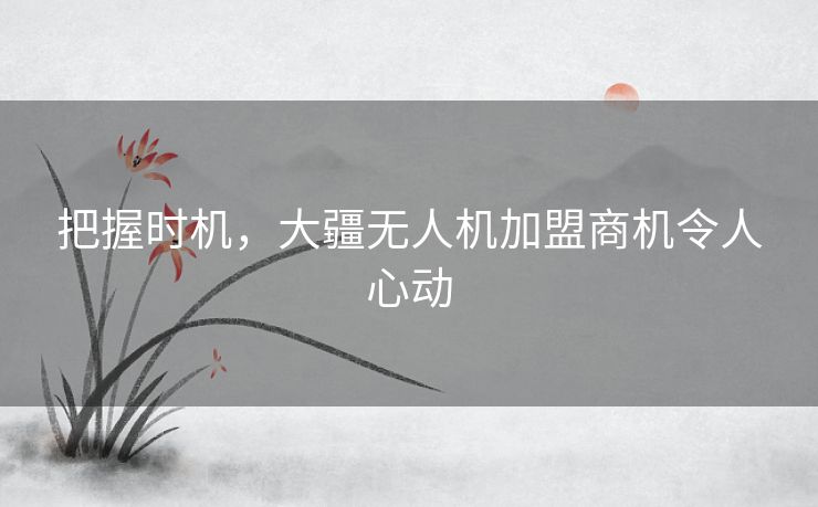 把握时机,大疆无人机加盟商机令人心动 把握时机,大疆无人机加盟商机令人心动