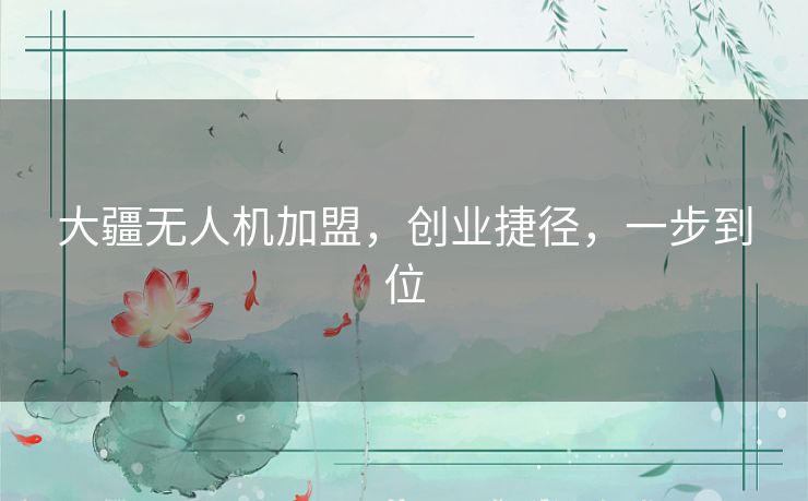 大疆无人机加盟,创业捷径,一步到位 大疆无人机加盟,创业捷径,一步到位