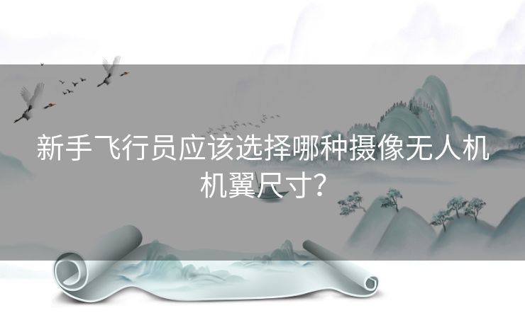 新手飞行员应该选择哪种摄像无人机机翼尺寸？