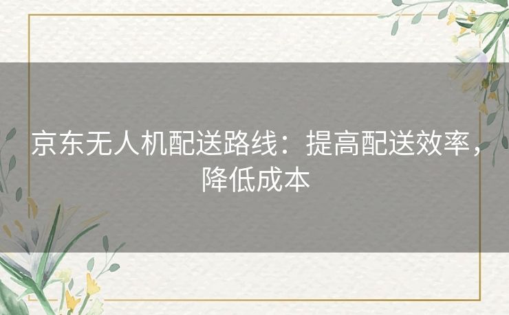 京东无人机配送路线:提高配送效率,降低成本 京东无人机配送路线:提高配送效率,降低成本