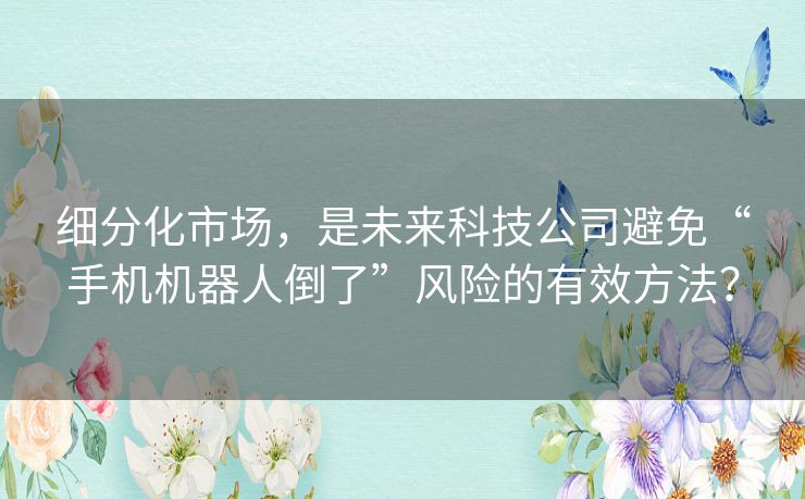 细分化市场,是未来科技公司避免“手机机器人倒了”风险的有效方法? 细分化市场,是未来科技公司避免“手机机器人倒了”风险的有效方法?