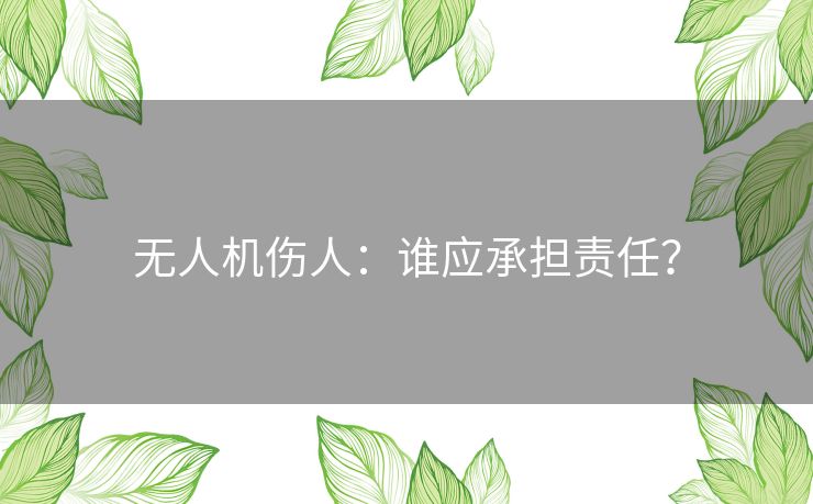 无人机伤人：谁应承担责任？