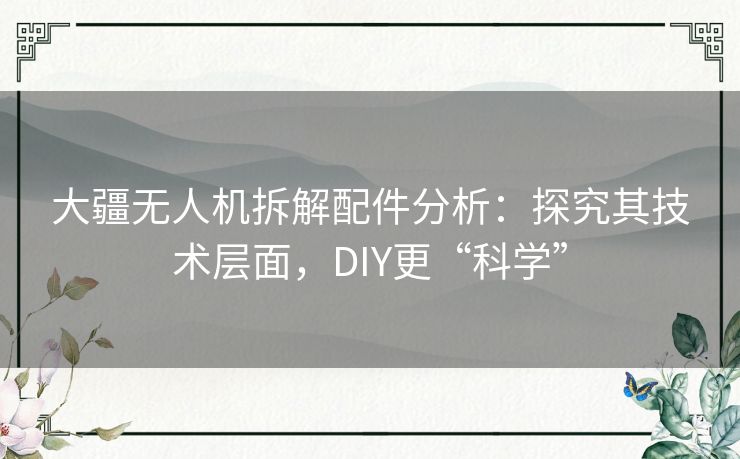 大疆无人机拆解配件分析:探究其技术层面,DIY更“科学” 大疆无人机拆解配件分析:探究其技术层面,DIY更“科学”