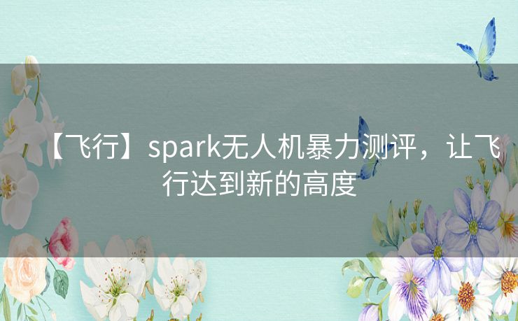 【飞行】spark无人机暴力测评，让飞行达到新的高度