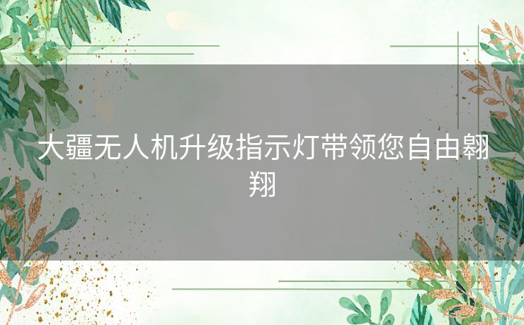 大疆无人机升级指示灯带领您自由翱翔 大疆无人机升级指示灯带领您自由翱翔