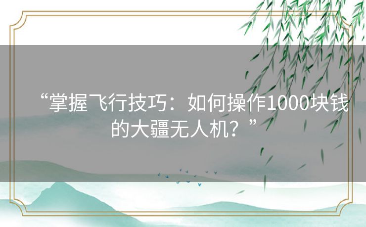 “掌握飞行技巧:如何操作1000块钱的大疆无人机?” “掌握飞行技巧:如何操作1000块钱的大疆无人机?”