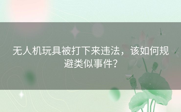 无人机玩具被打下来违法,该如何规避类似事件? 无人机玩具被打下来违法,该如何规避类似事件?