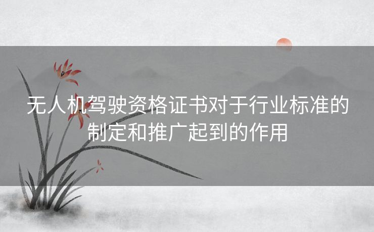 无人机驾驶资格证书对于行业标准的制定和推广起到的作用 无人机驾驶资格证书对于行业标准的制定和推广起到的作用