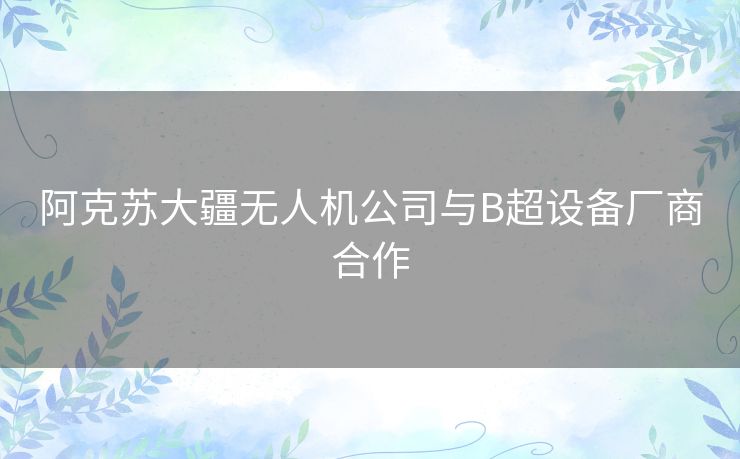 阿克苏大疆无人机公司与B超设备厂商合作 阿克苏大疆无人机公司与B超设备厂商合作