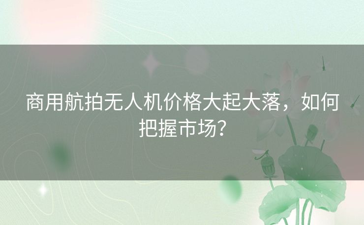 商用航拍无人机价格大起大落,如何把握市场? 商用航拍无人机价格大起大落,如何把握市场?