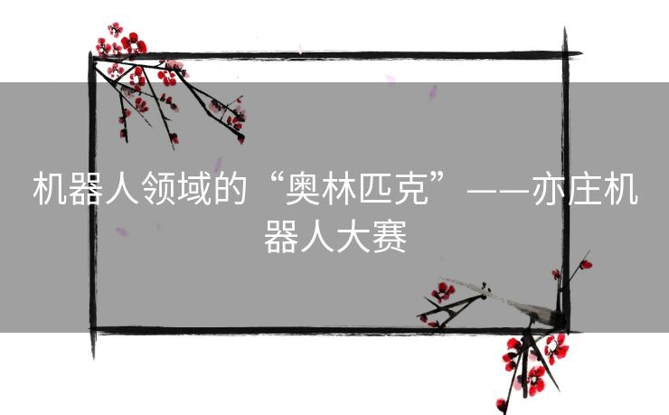 机器人领域的“奥林匹克”——亦庄机器人大赛