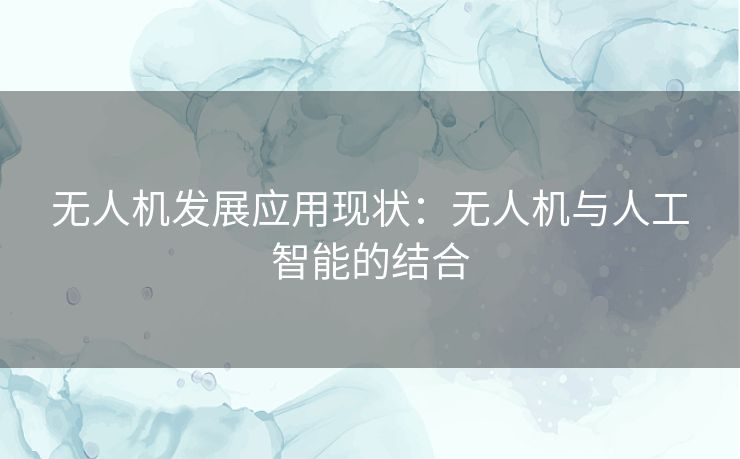 无人机发展应用现状:无人机与人工智能的结合 无人机发展应用现状:无人机与人工智能的结合