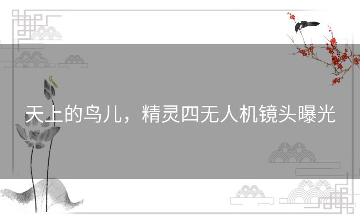 天上的鸟儿,精灵四无人机镜头曝光 天上的鸟儿,精灵四无人机镜头曝光