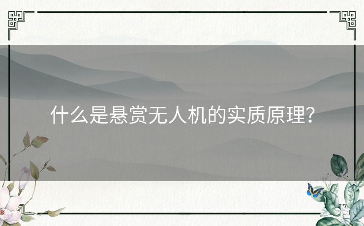 什么是悬赏无人机的实质原理? 什么是悬赏无人机的实质原理?