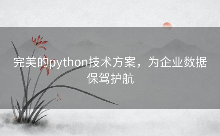 完美的python技术方案,为企业数据保驾护航 完美的python技术方案,为企业数据保驾护航