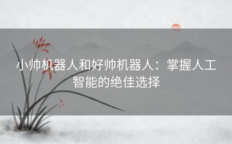 小帅机器人和好帅机器人:掌握人工智能的绝佳选择 小帅机器人和好帅机器人:掌握人工智能的绝佳选择