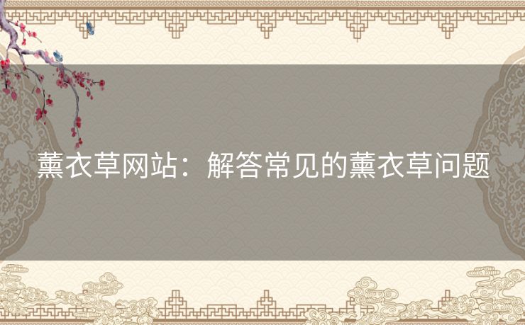 薰衣草网站：解答常见的薰衣草问题