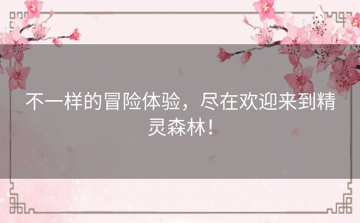 不一样的冒险体验,尽在欢迎来到精灵森林! 不一样的冒险体验,尽在欢迎来到精灵森林!