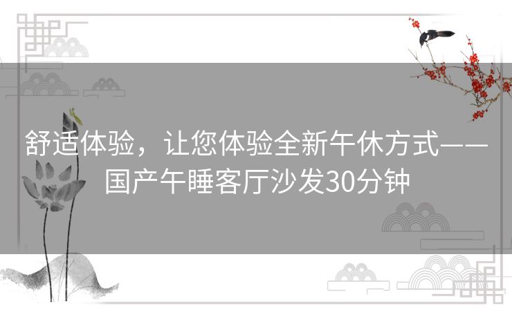 舒适体验,让您体验全新午休方式——国产午睡客厅沙发30分钟 舒适体验,让您体验全新午休方式——国产午睡客厅沙发30分钟