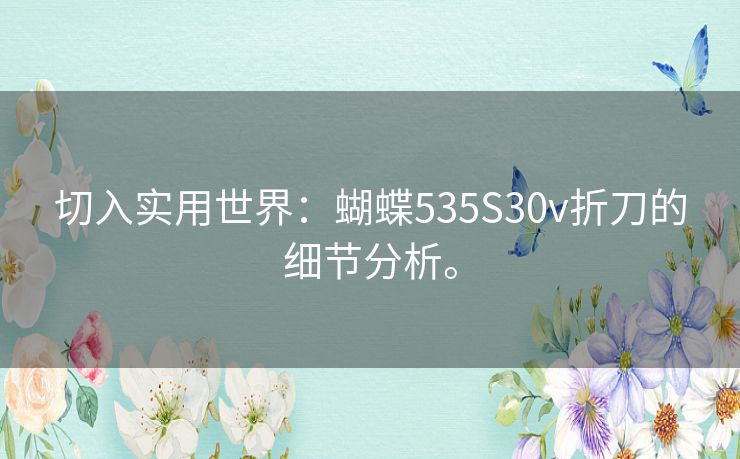 切入实用世界:蝴蝶535S30v折刀的细节分析。 切入实用世界:蝴蝶535S30v折刀的细节分析。